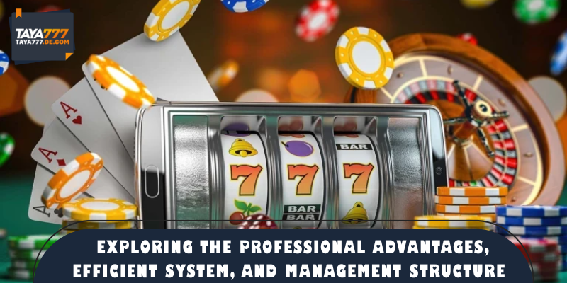 Exploring the professional advantages, efficient system, and management structure