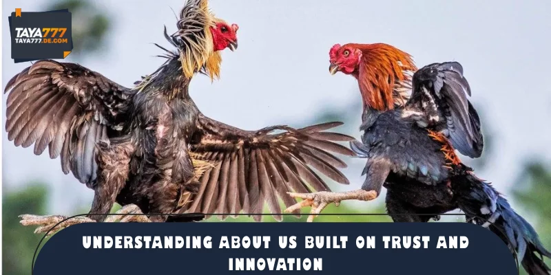 Understanding about us built on trust and innovation