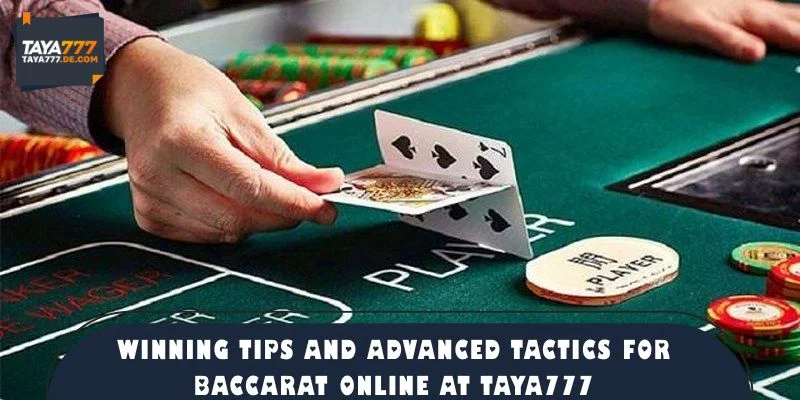 Winning Tips and Advanced Tactics for Baccarat Online at TAYA777