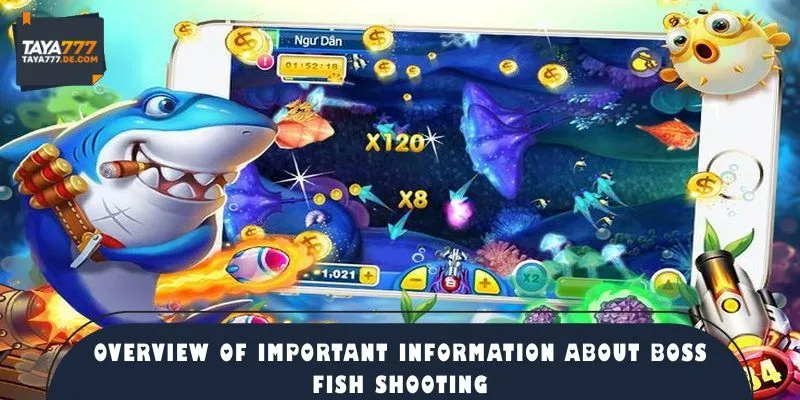 Overview of important information about boss fishing