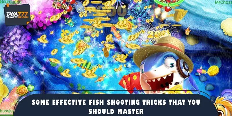 Some effective fishing tricks that you should master