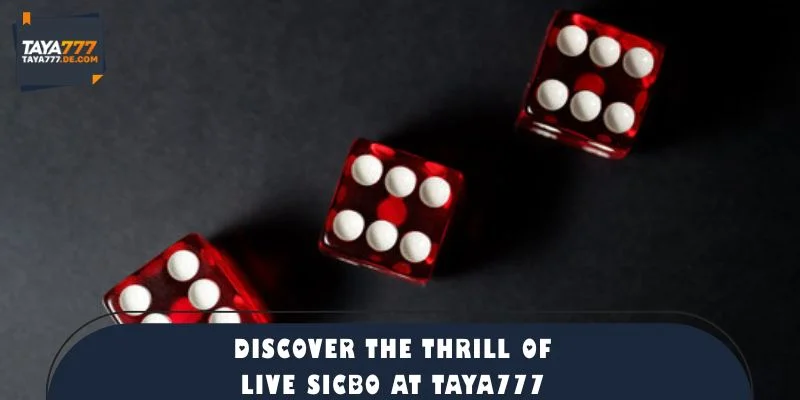 Discover the Thrill of Live Sicbo at TAYA777