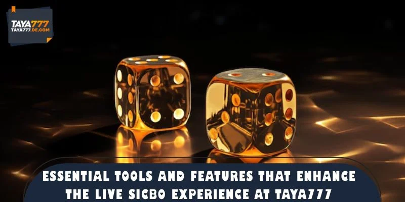 Essential Tools and Features That Enhance the Live Sicbo Experience at TAYA777