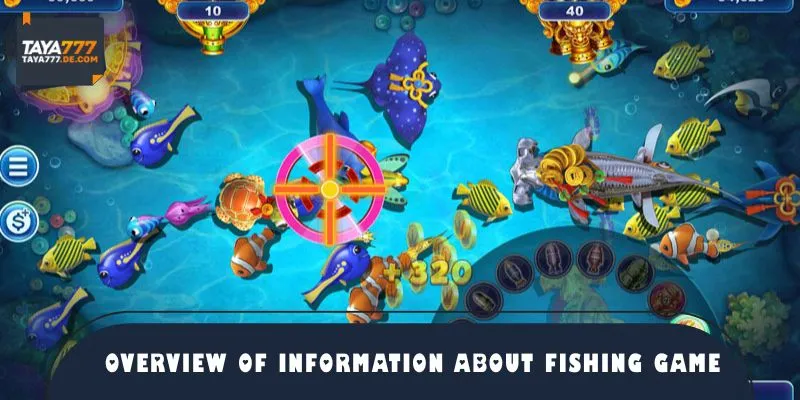 Discover of interesting information about fishing
