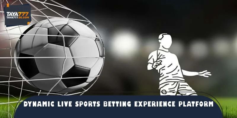 Dynamic live sports betting experience platform